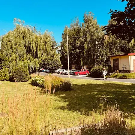 Apartment Przestronny 3-pokojowy Apartament 75m - Olsztyn *